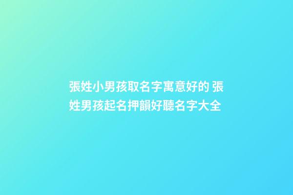 張姓小男孩取名字寓意好的 張姓男孩起名押韻好聽名字大全